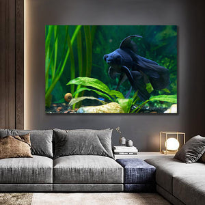 Fish (5)
